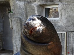 Tiergarten Schönbrunn am 23.03.2023